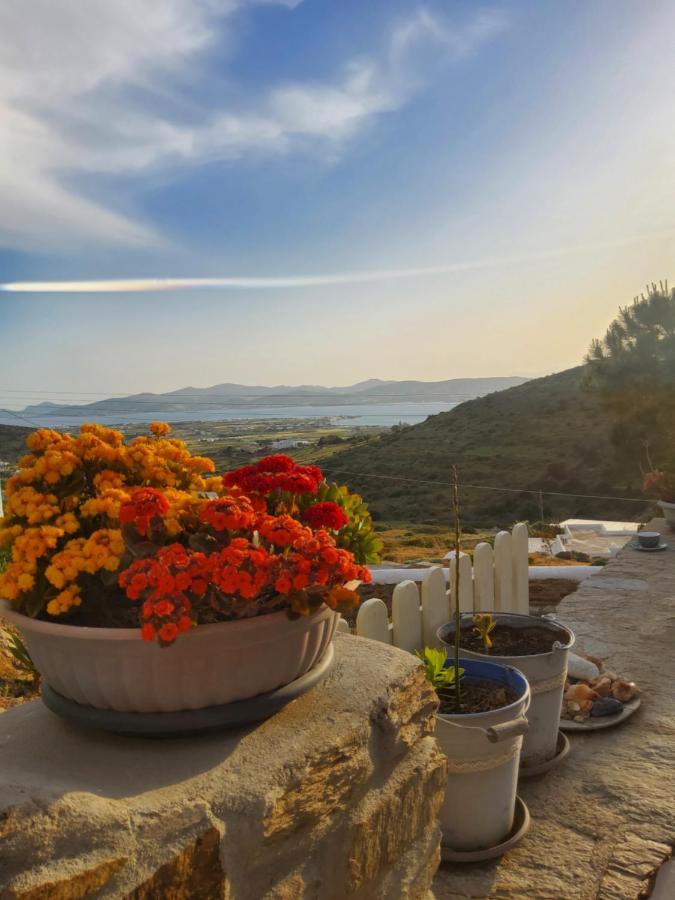Romantic Sunset Cycladic House In Sotires Moni Christou Dasous 외부 사진