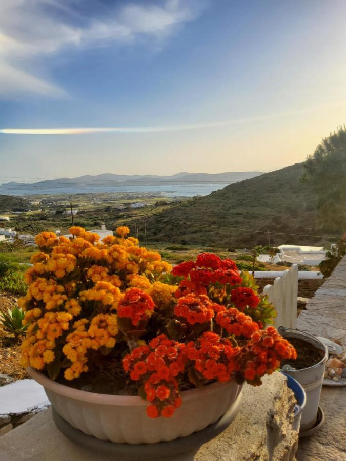 Romantic Sunset Cycladic House In Sotires Moni Christou Dasous 외부 사진
